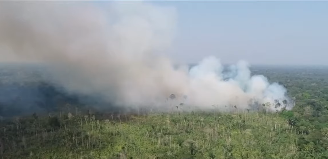 Pożar Amazonii