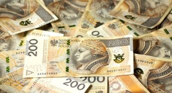 W 2023 r. kary za brak OC wzrosną dwa razy