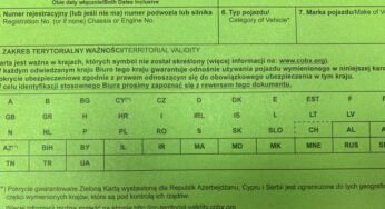 Zielona Karta – czy można ją wyrobić bezpłatnie?