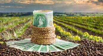 Ubezpieczenie upraw w PZU – dofinansowanie aż do 65% wysokości składki